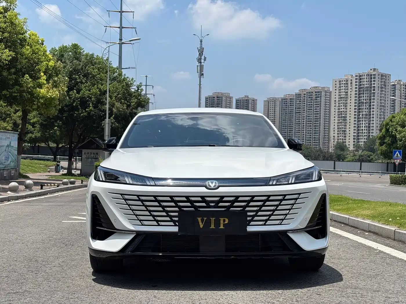 Фото 2 - Changan Eado