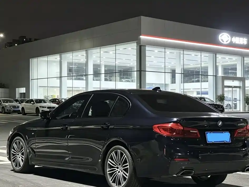 BMW 5 Series 2019 530Li Premium M Sport Package фото 6
