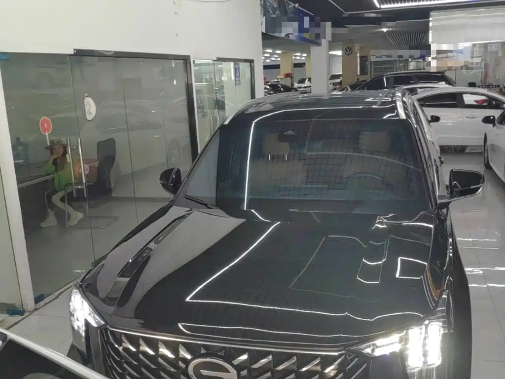 GAC Trumpchi Trumpchi GS8 2024 2024 Navigator Series 2.0TGDI 2WD Luxury Smart Connect Edition