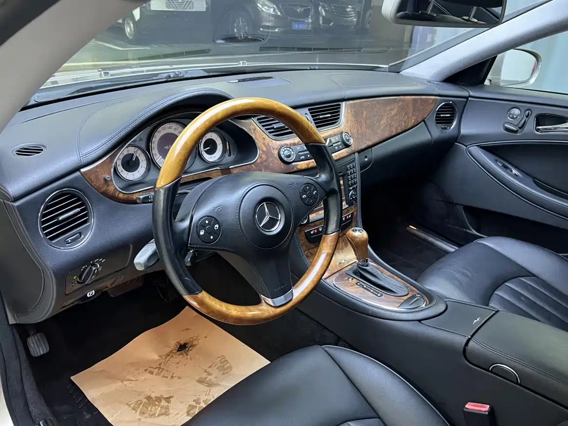 Mercedes-Benz CLS 2010 2009 CLS 300