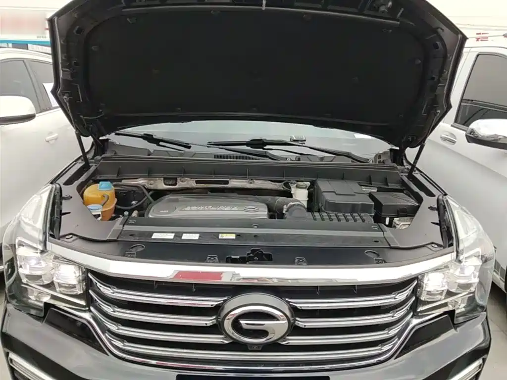 GAC Trumpchi Trumpchi GS8 2017 320T AWD Luxury Smart Connect (7-Seater) фото 20