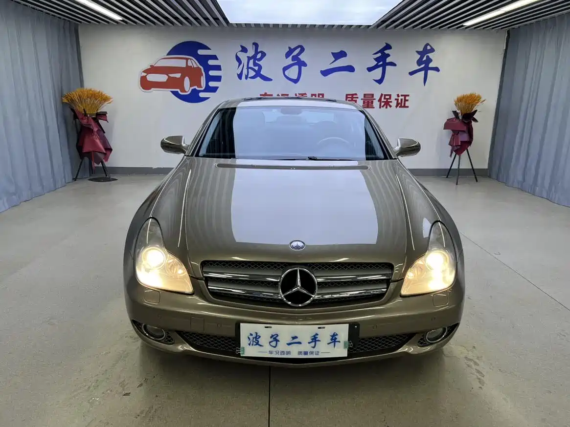 Mercedes-Benz CLS 2010 2009 CLS 300