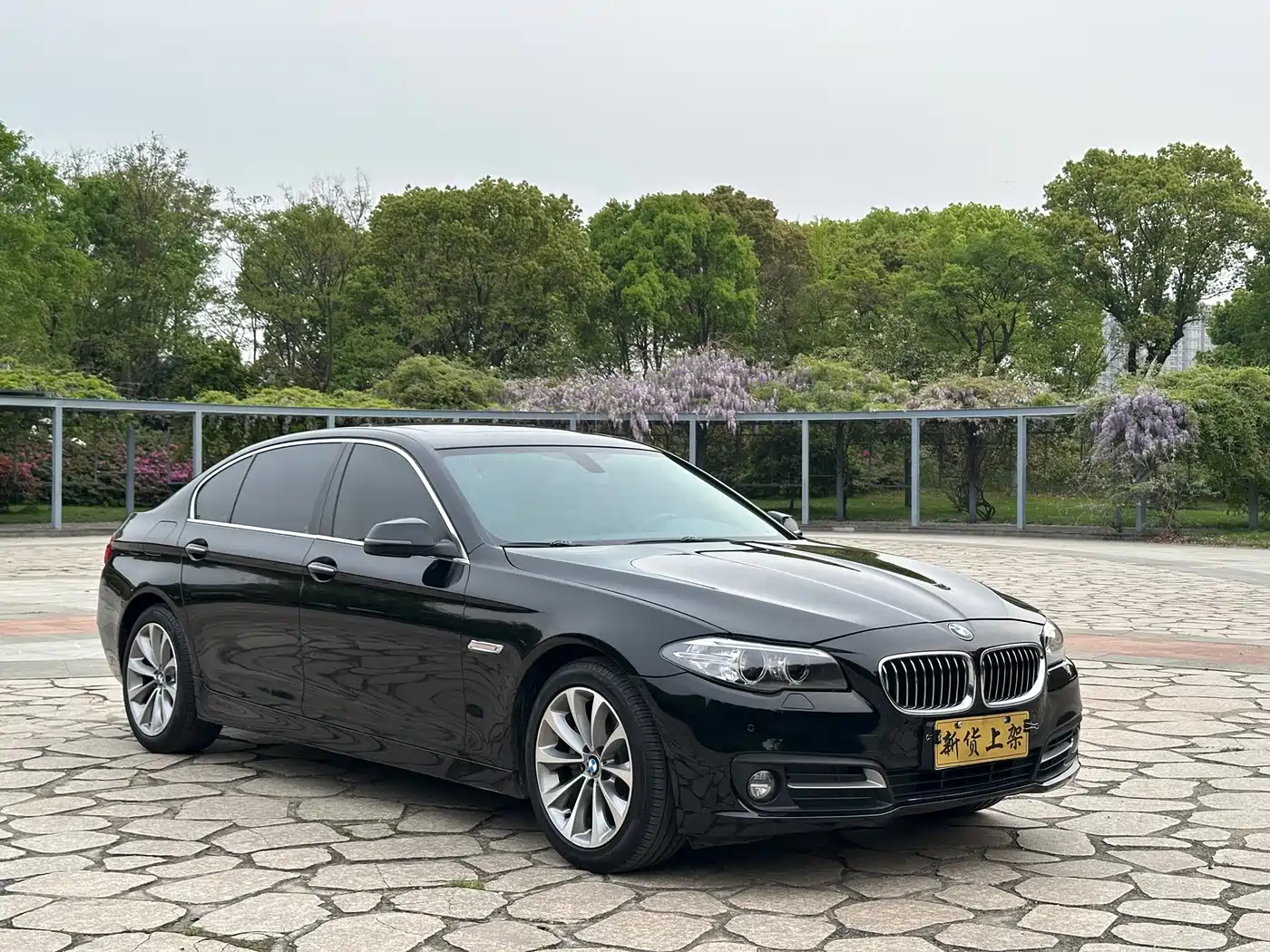 BMW 5 Series 2017 525Li Leading Edition фото 5