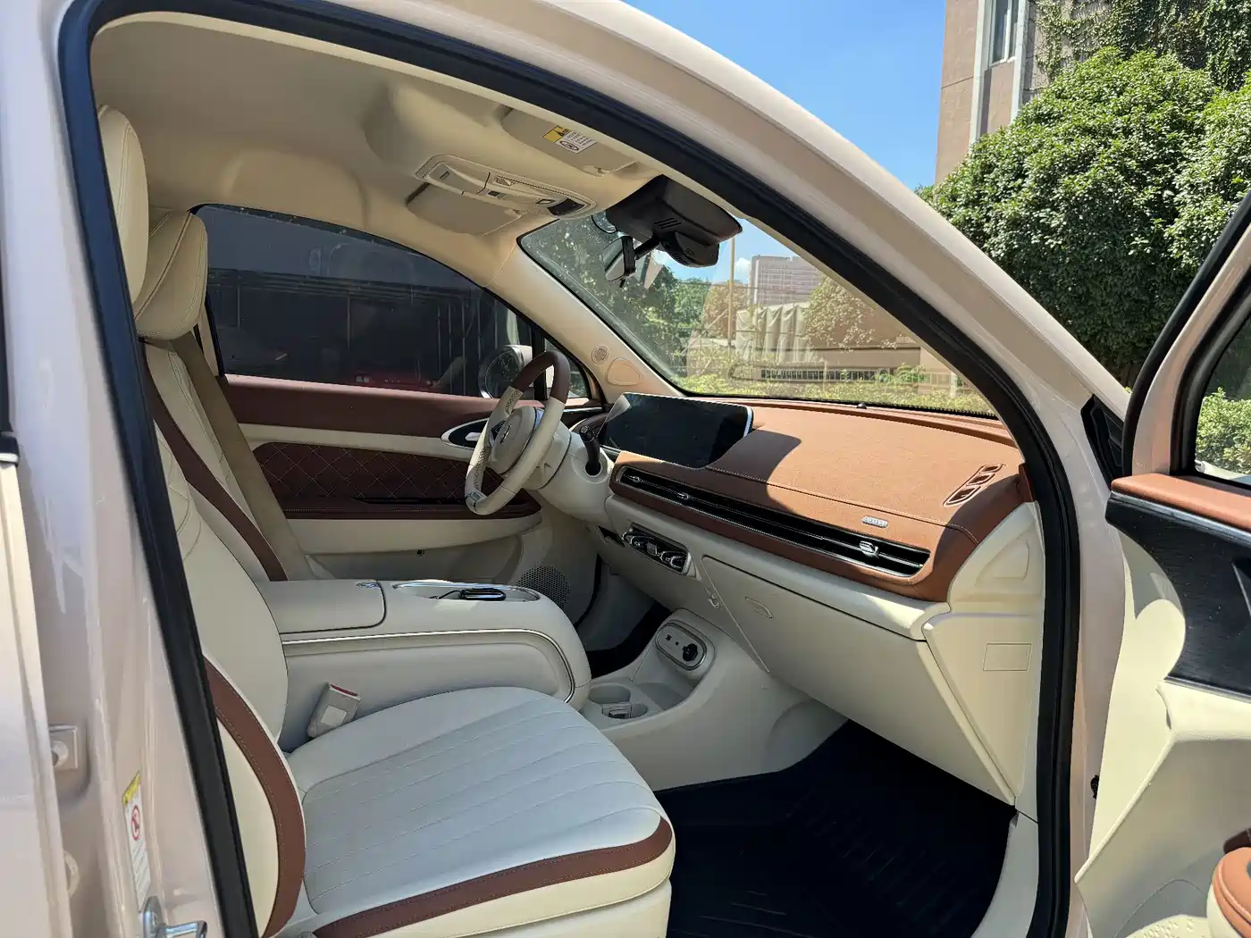 Ora Good Cat 2023 2023 401km Standard Range Luxury LFP