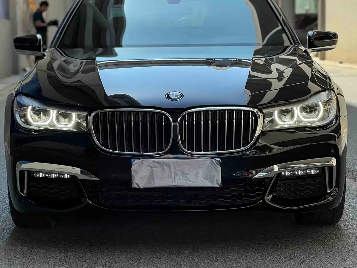BMW 7 Series 2018 730Li Leading Type M Sport Package фото 2