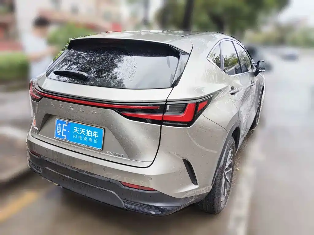 2024 Lexus NX