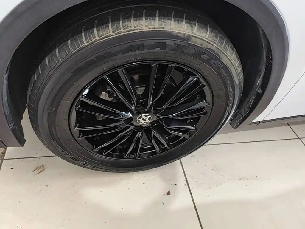Venucia Big V 2022 2021 260T Idol Edition