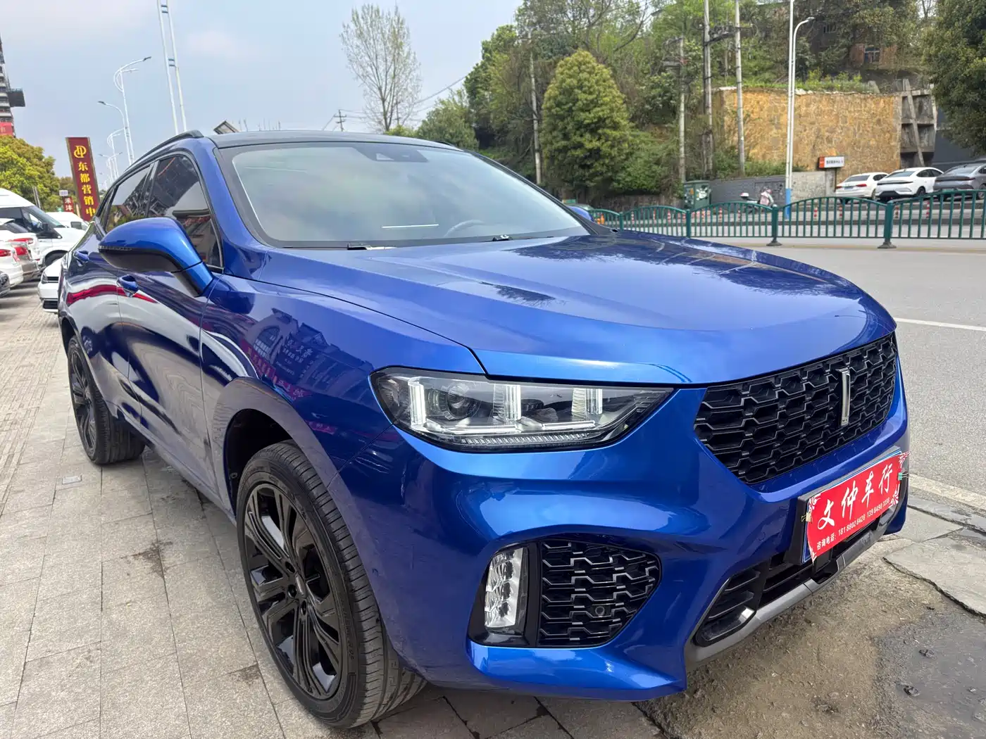 WEI PAI WEI BRAND VV5