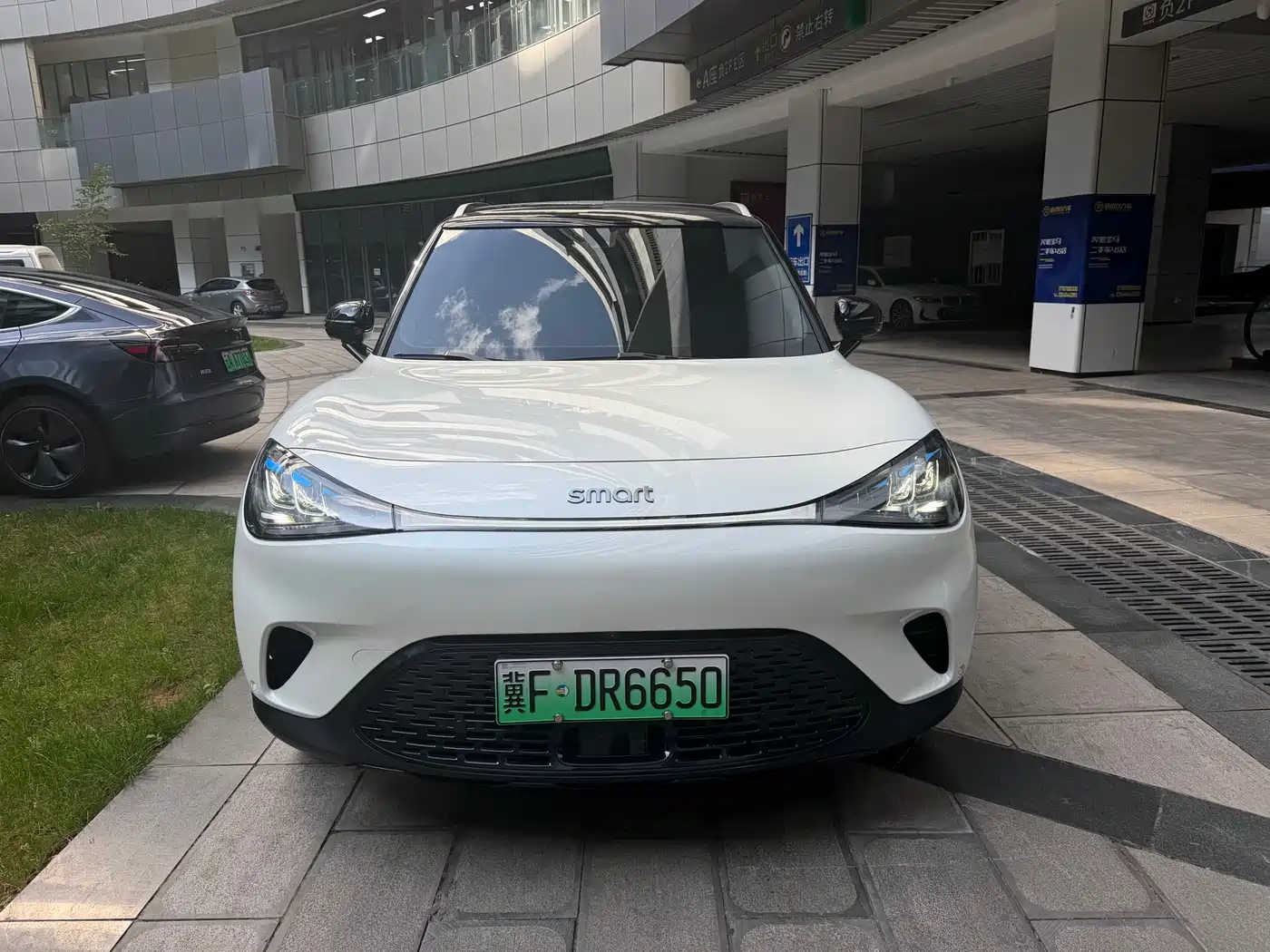 smart Elf #1 2024 Agile Standard Edition