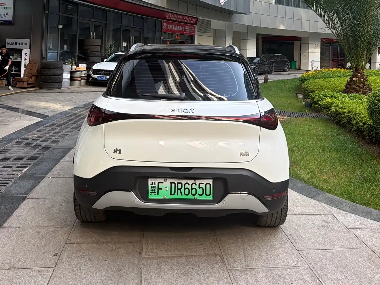 smart Elf #1 2025 2024 Agile Standard Edition