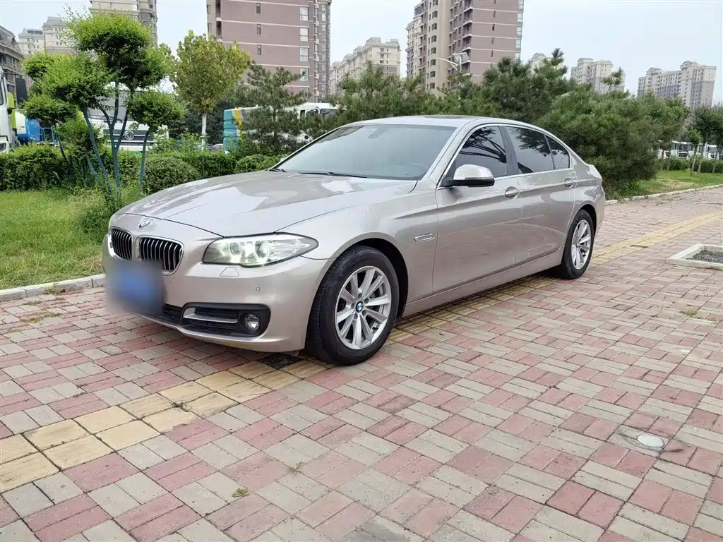BMW 5 Series 2017 520Li Classic Edition фото 2