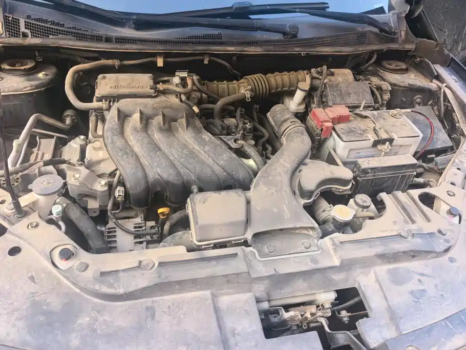 Venucia D60 2019 2019 1.6L Entry Manual Fashion Edition