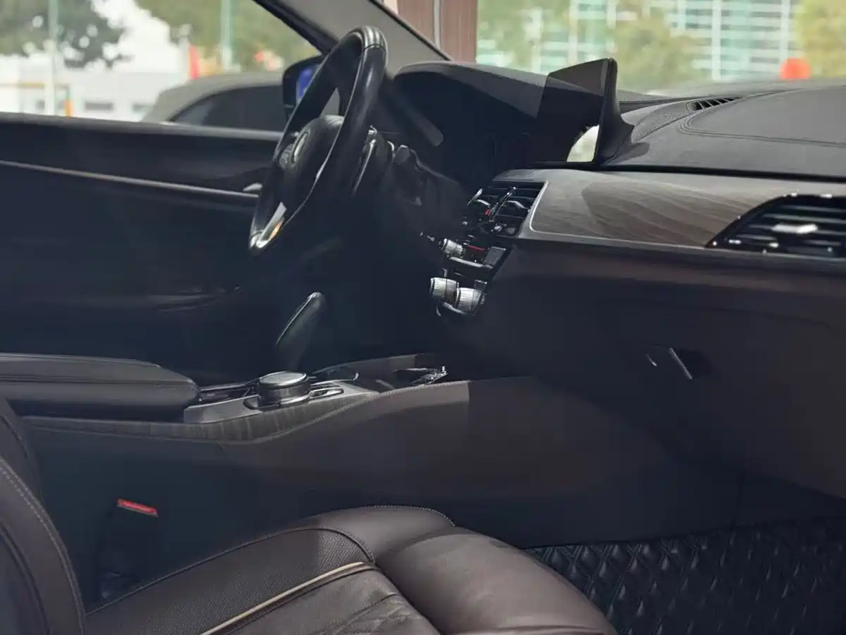 BMW 5 Series 2019 530Li Premium Luxury Package фото 8