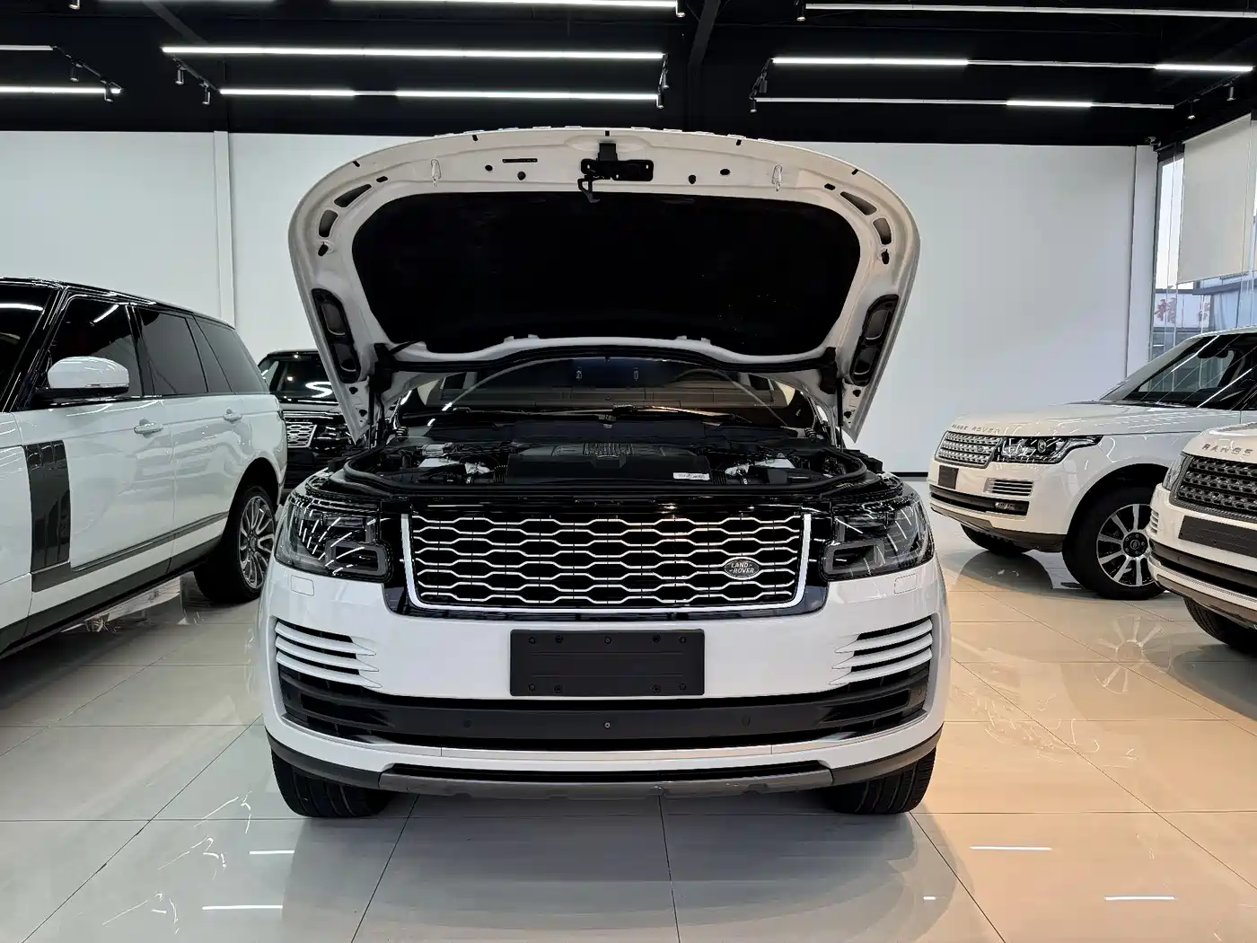 Land Rover Range Rover 2018 3.0 SC V6 Vogue SE Genesis Extended Edition фото 15