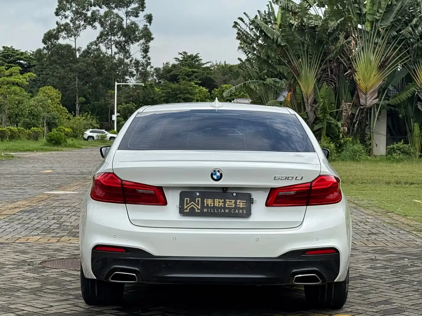 BMW 5 Series 2019 Facelift 530Li Leading M Sport Package фото 7
