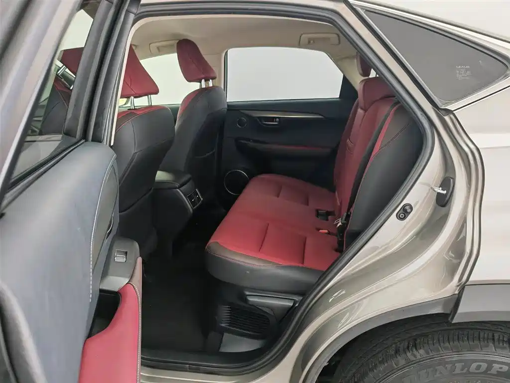 Lexus NX 2018 Model 300 FWD Fengxing Edition фото 15