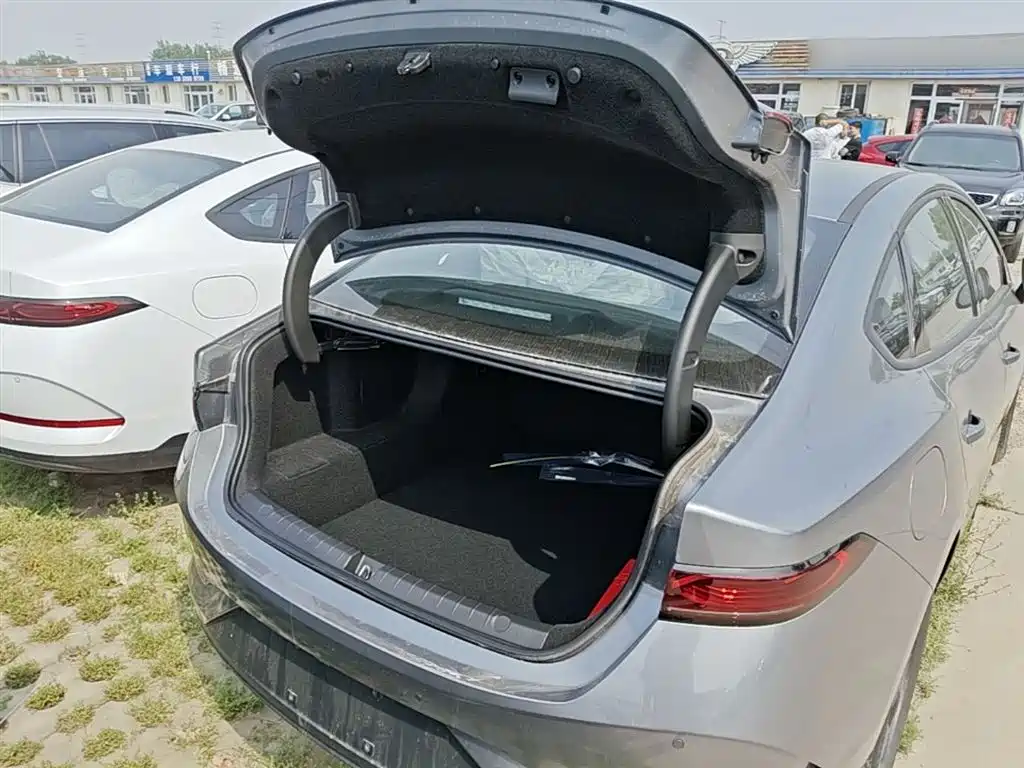 BYD Qin PLUS 2026 DM-i Smart Edition 128KM Progressive фото 15
