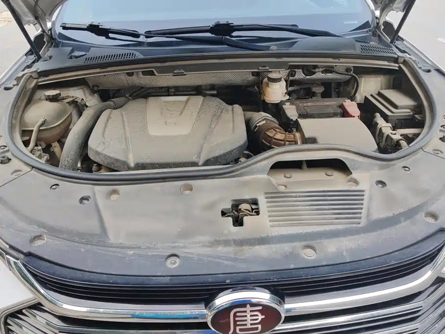 BYD Tang 2021 2021 2.0T Automatic Flagship