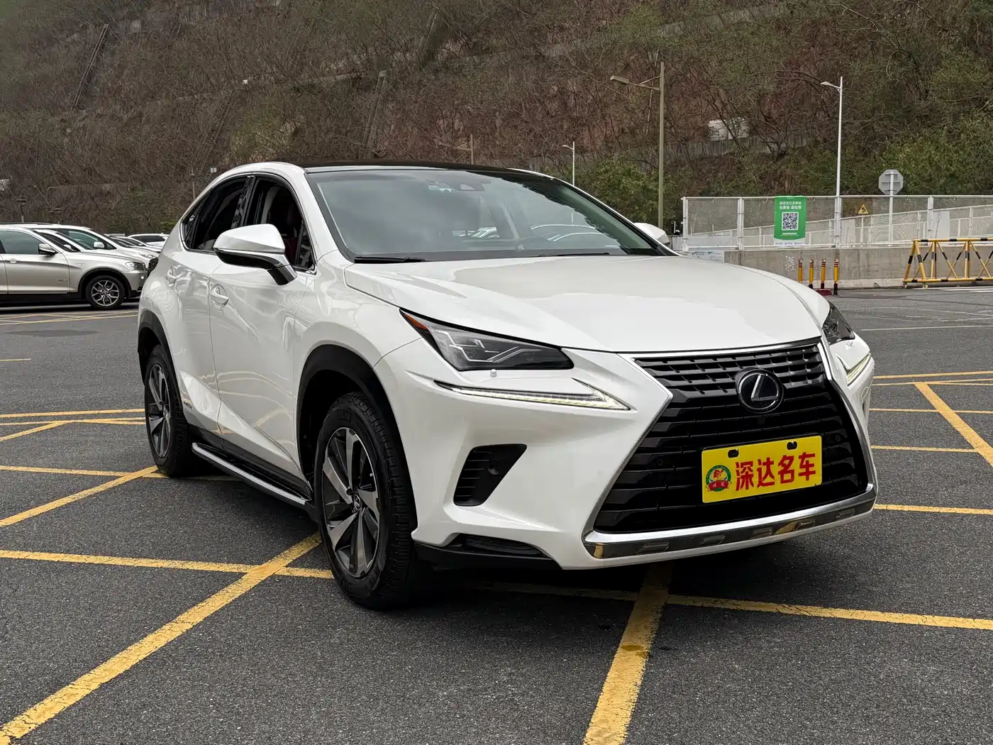 LEXUS NX