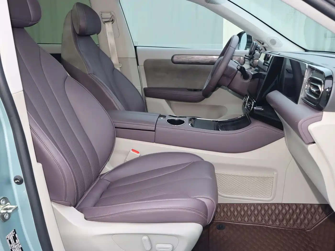 Leapmotor C11 2022 2021 Model Premium Edition