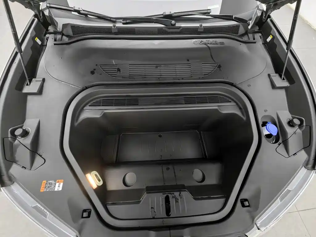 Ford Mustang Mach-E 2022 2021 Leap World RWD (Standard Range)