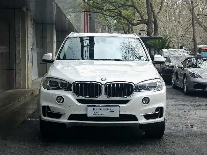 BMW X5 (Import) 2018 xDrive28i фото 4