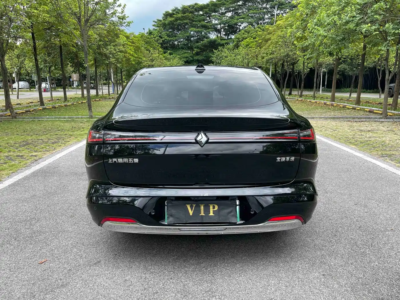 Baojun Enjoyment 2025 2025 PHEV 140km Official Edition