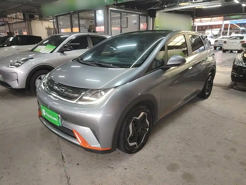 BYD Dolphin 2022 2021 Model 405km Fashion Edition