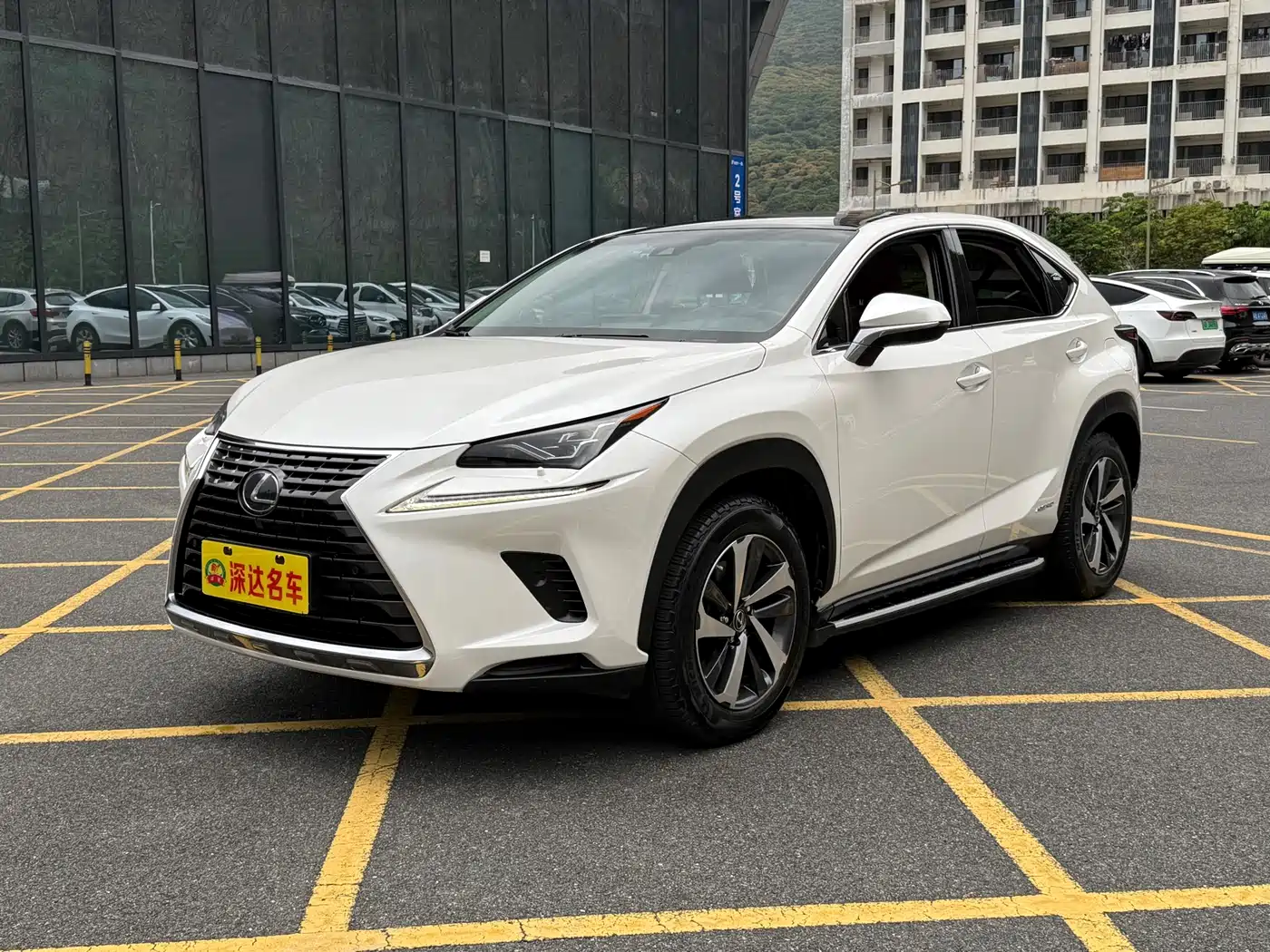 LEXUS NX