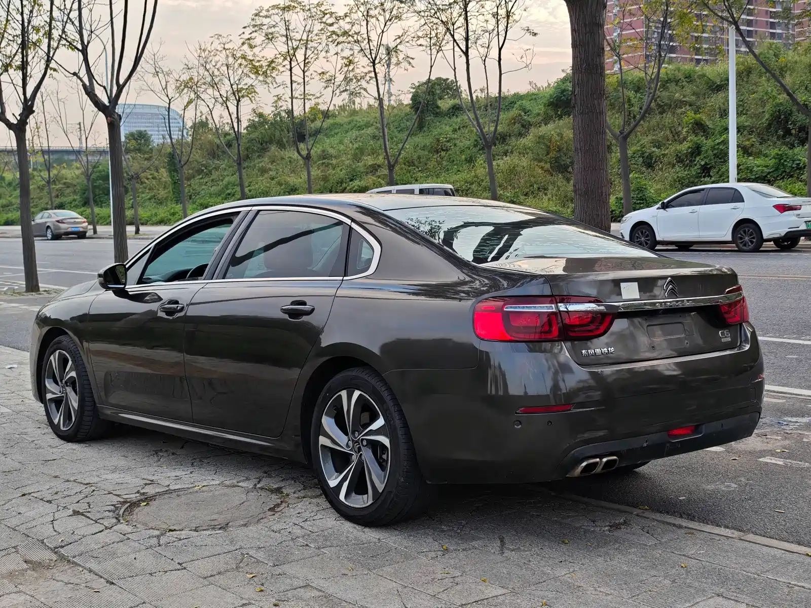 صورة 9 - Citroën C6