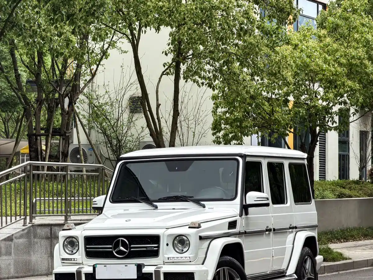 Mercedes-Benz G-Class AMG 2016 AMG G 63 фото 2