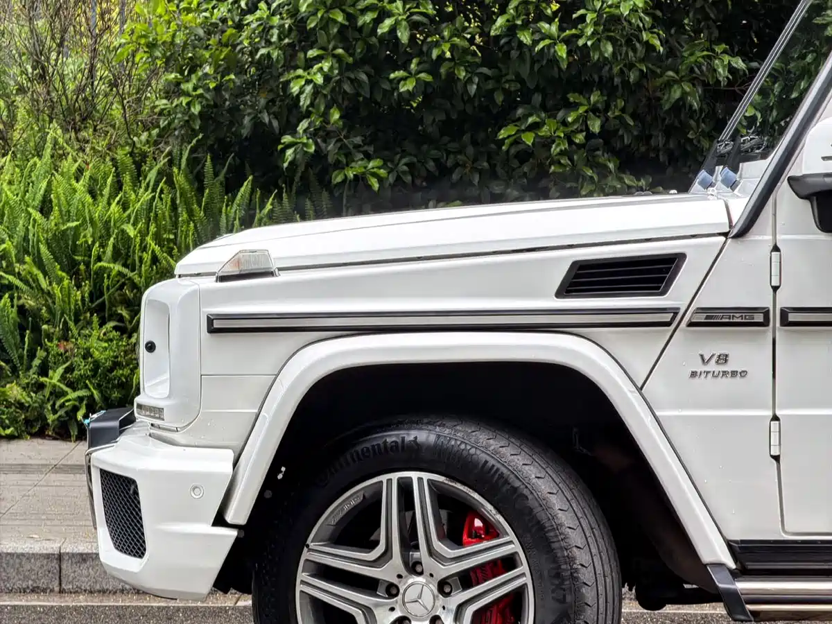 Mercedes-Benz G-Class AMG 2016 AMG G 63 фото 4