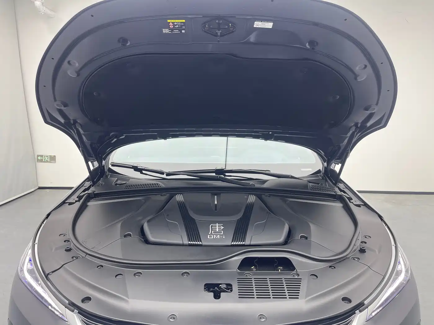 BYD Tang New Energy 2023 Model DM-i Champion Edition 112KM Deluxe фото 10