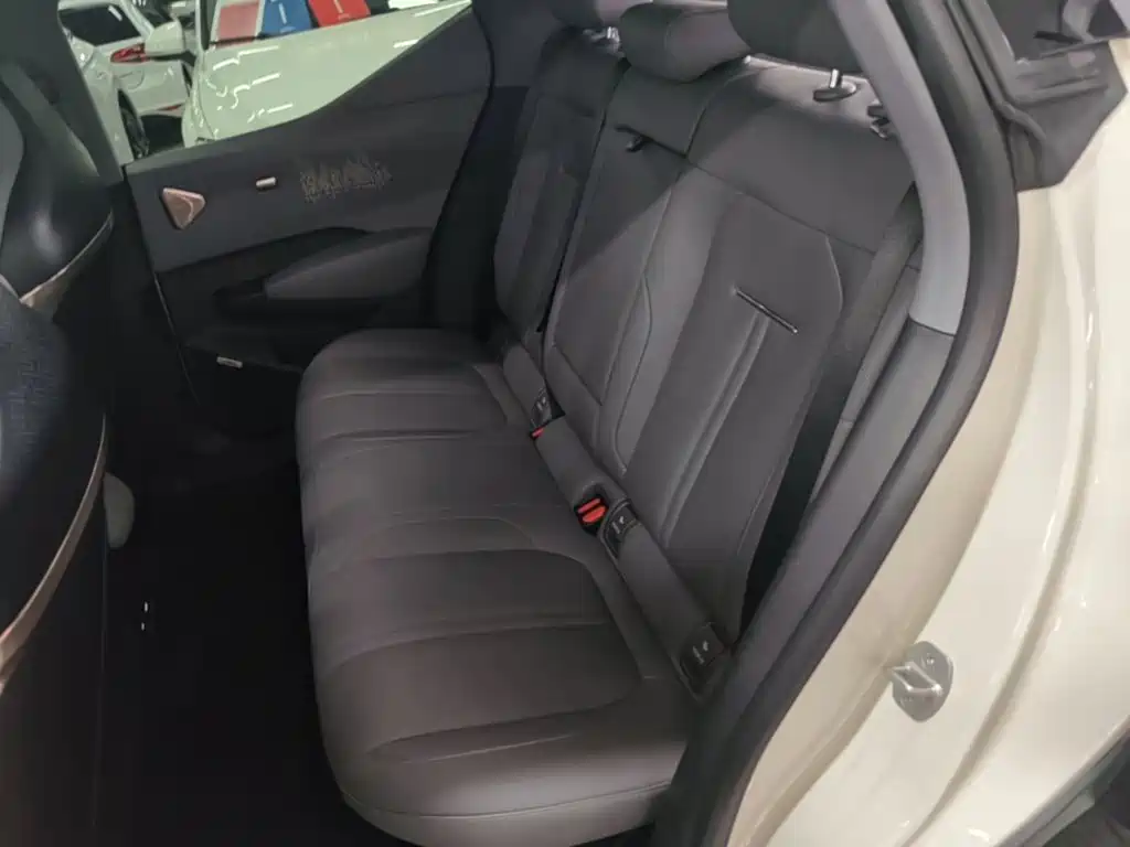 ZEEKR X 2023 2023 RWD ME Edition 5-seater