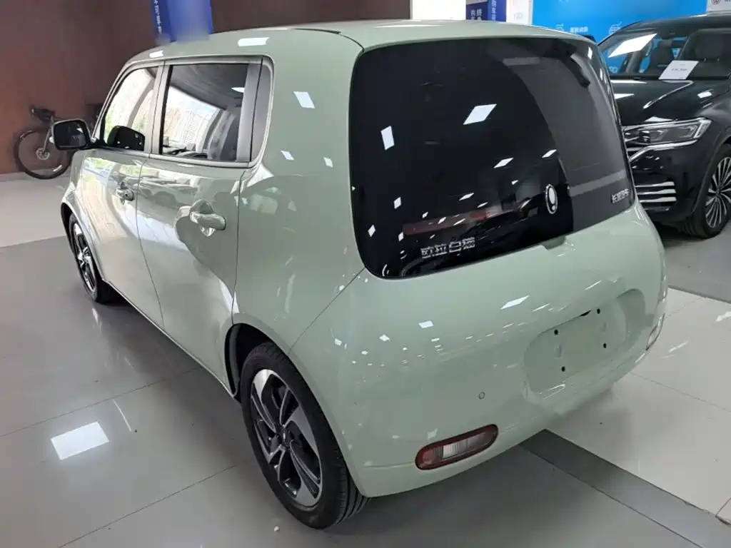 Ora White Cat 2021 2022 Upgraded 305km Luxury (NMC)