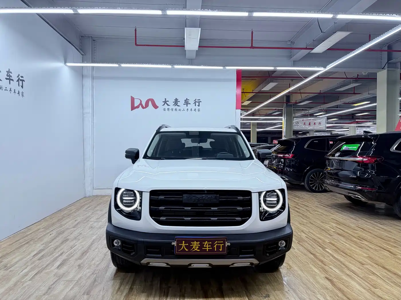 HAVAL BIG DOG