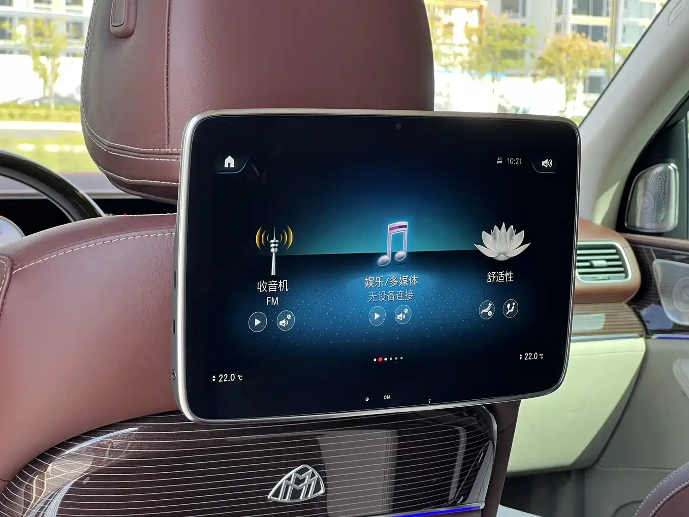 Mercedes-Benz Maybach GLS 2021 GLS 600 4MATIC Ritual Edition фото 17