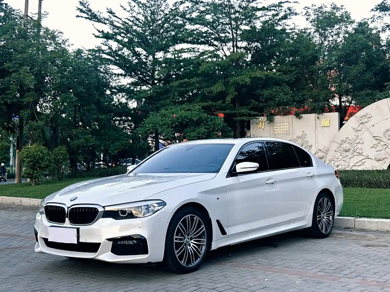 BMW 5 Series 2019 530Li xDrive M Sport Package