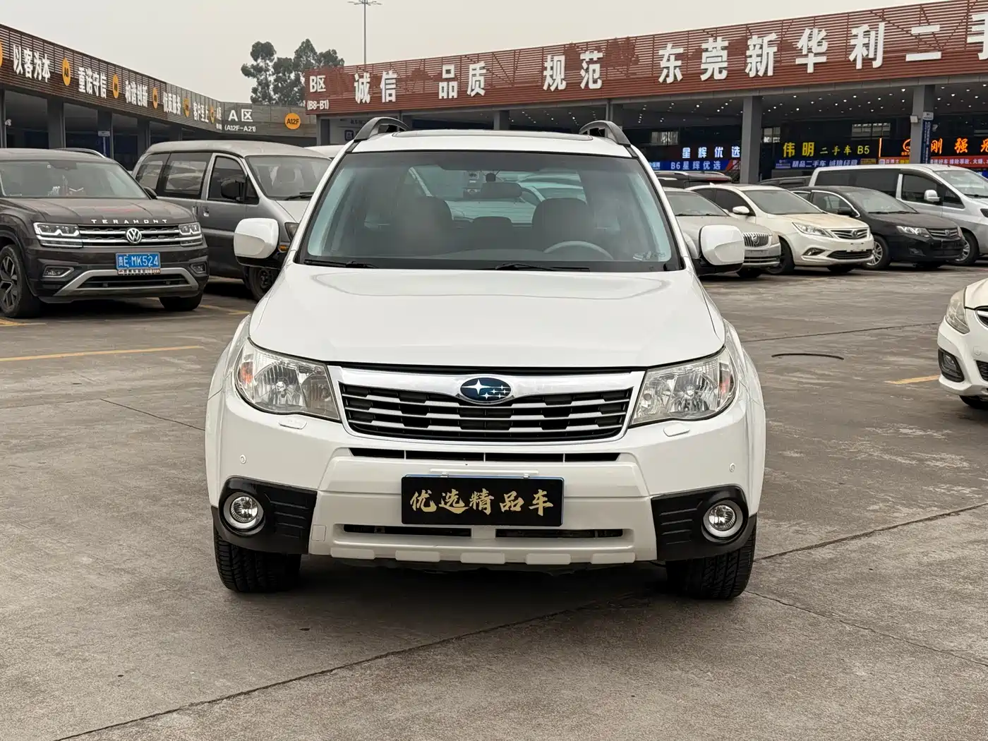 Subaru Forester 2010 2.5XS Luxury Navigation Edition фото 2