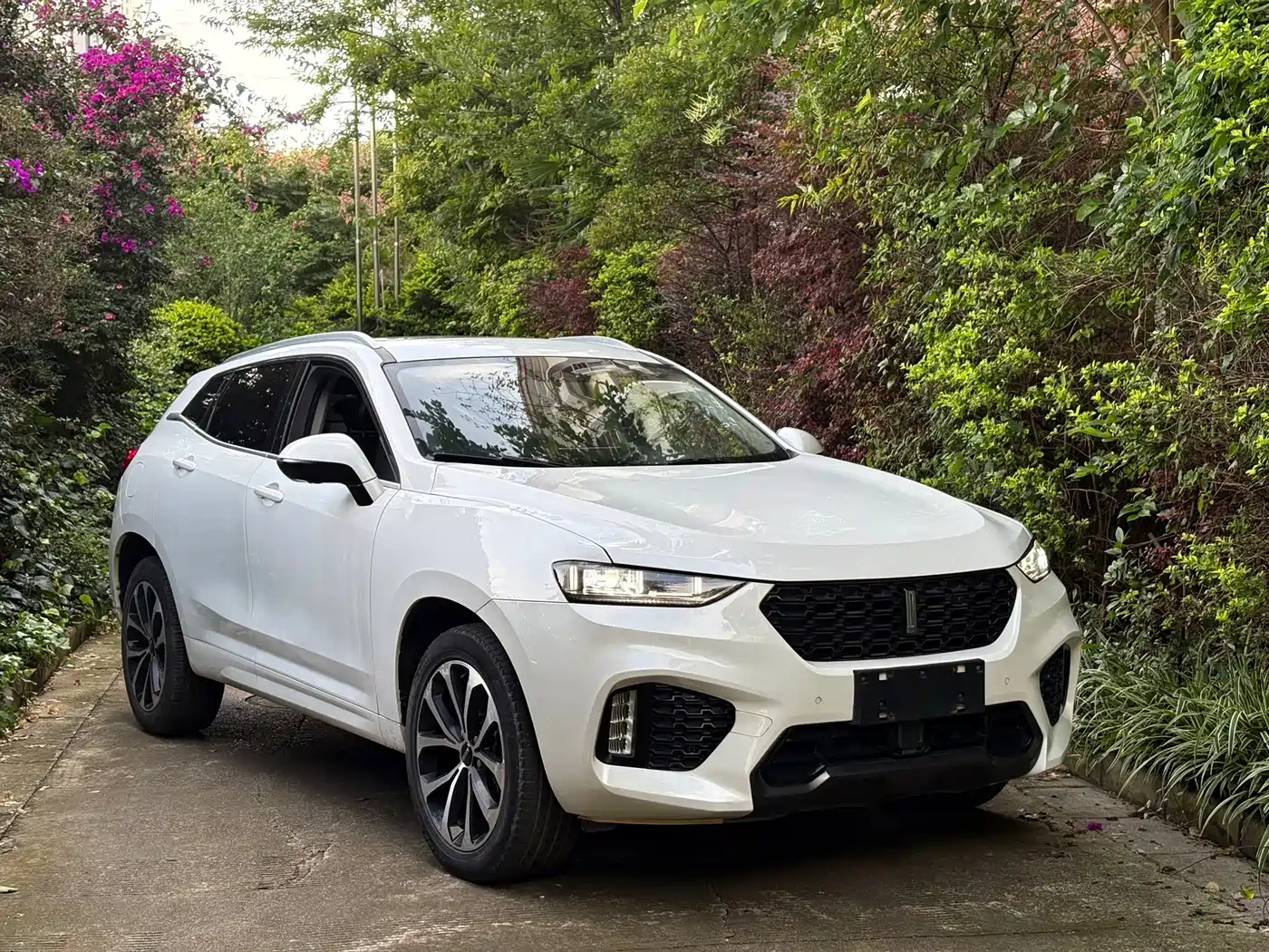 WEY VV7 2017 2017 2.0T Super Luxury