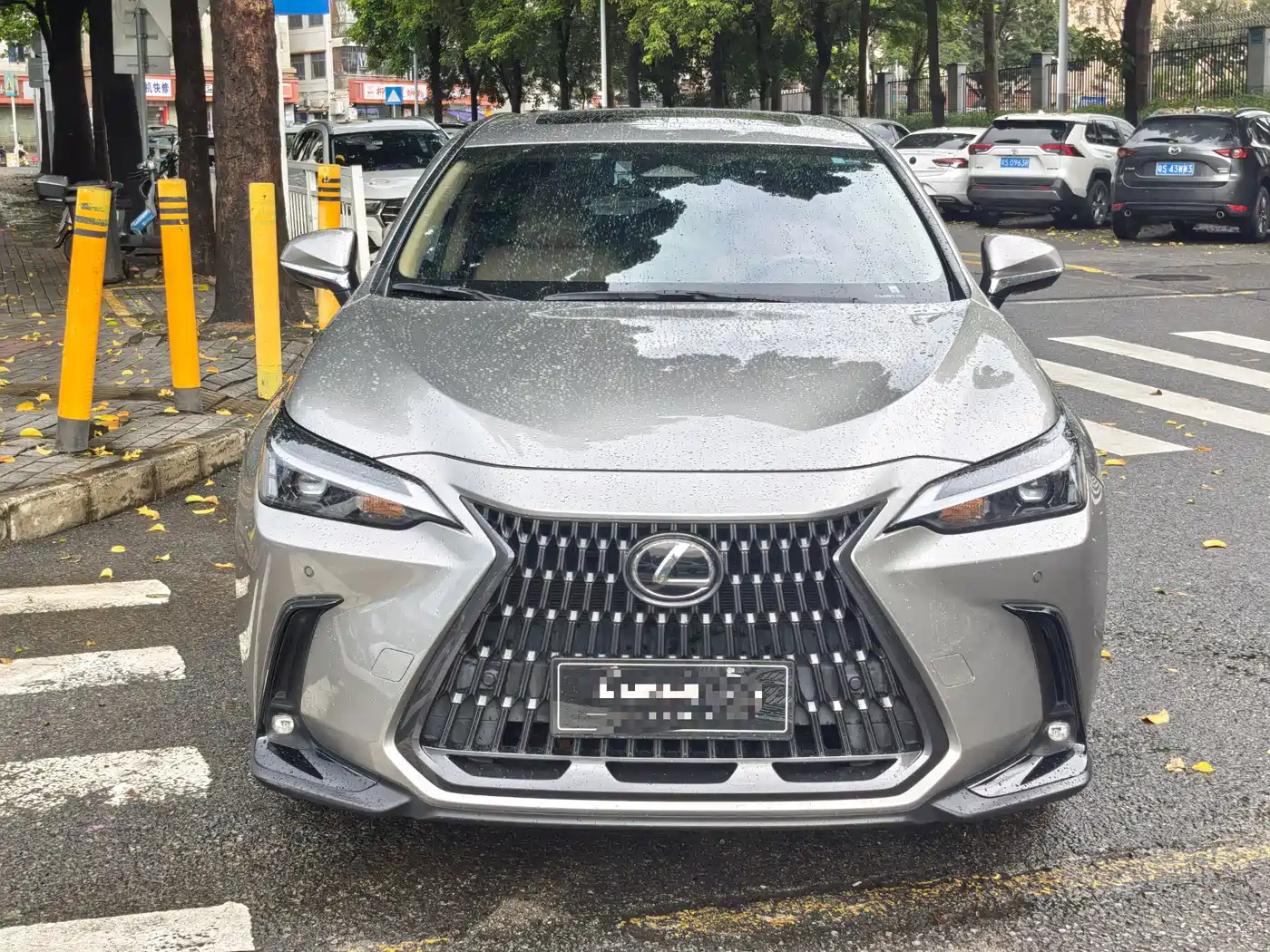 Lexus NX 2023 2022 350h FWD Joy Creation Edition