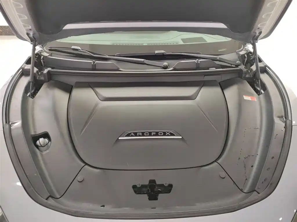 ARCFOX EXTREME FOX POLAR FOX ALPHA T