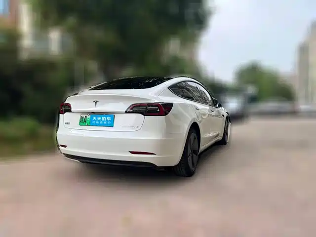 Tesla Model 3 2022 Model Rear-Wheel Drive Version — фото 2