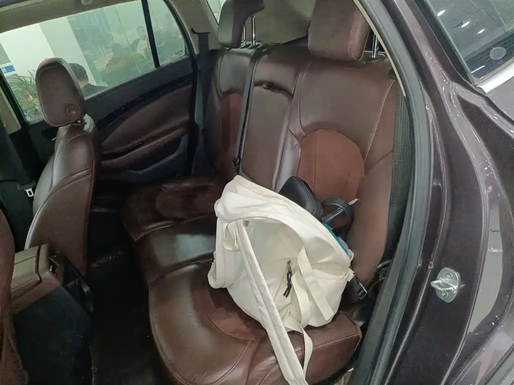 Buick Envision Plus 2016 20T 2WD Elite фото 13