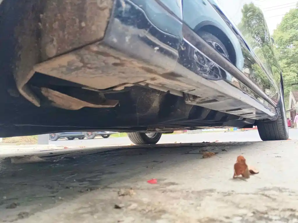Ford Taurus 2022 2019 EcoBoost 245 Premium Edition