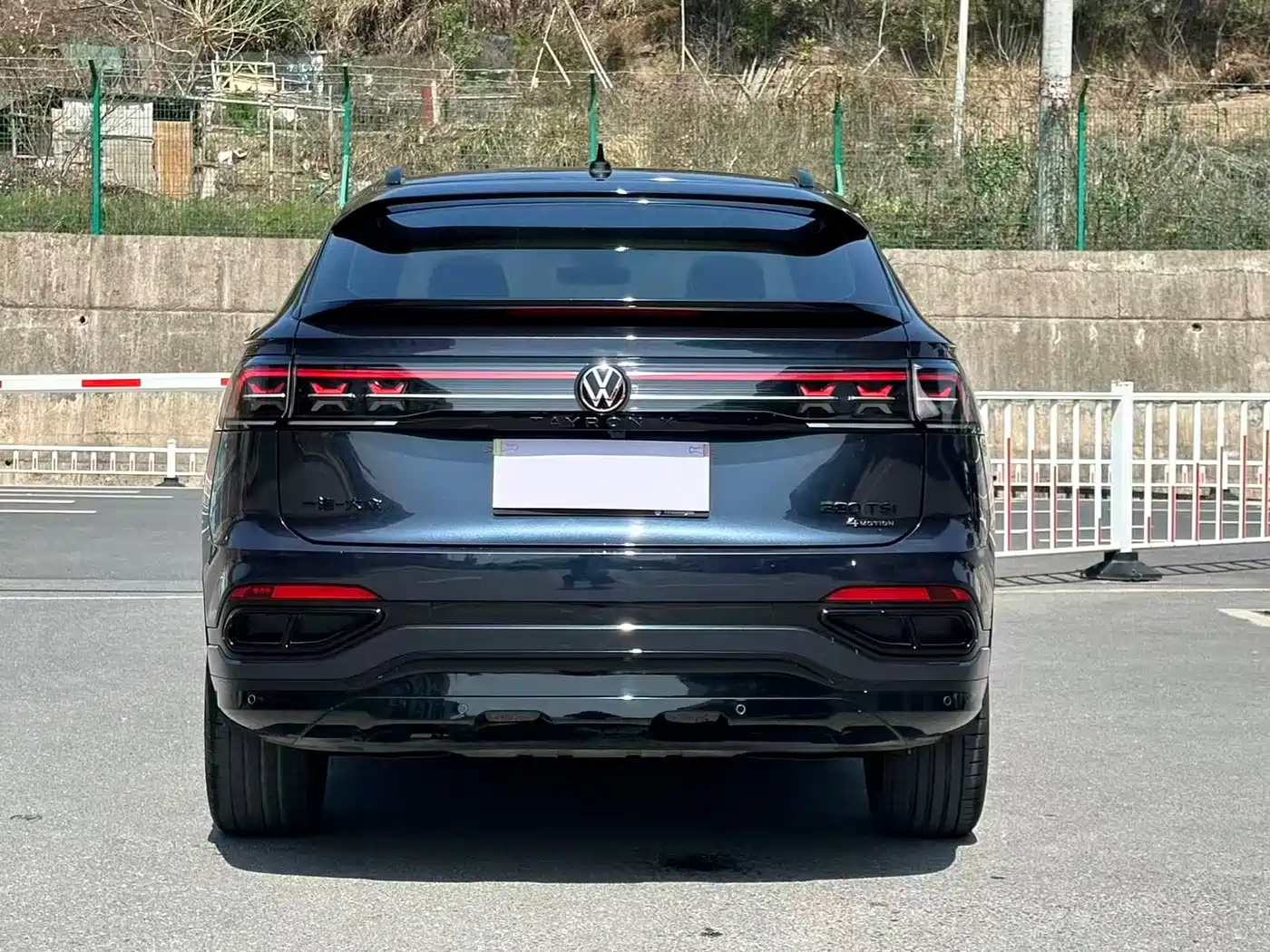 VOLKSWAGEN TANYUE X
