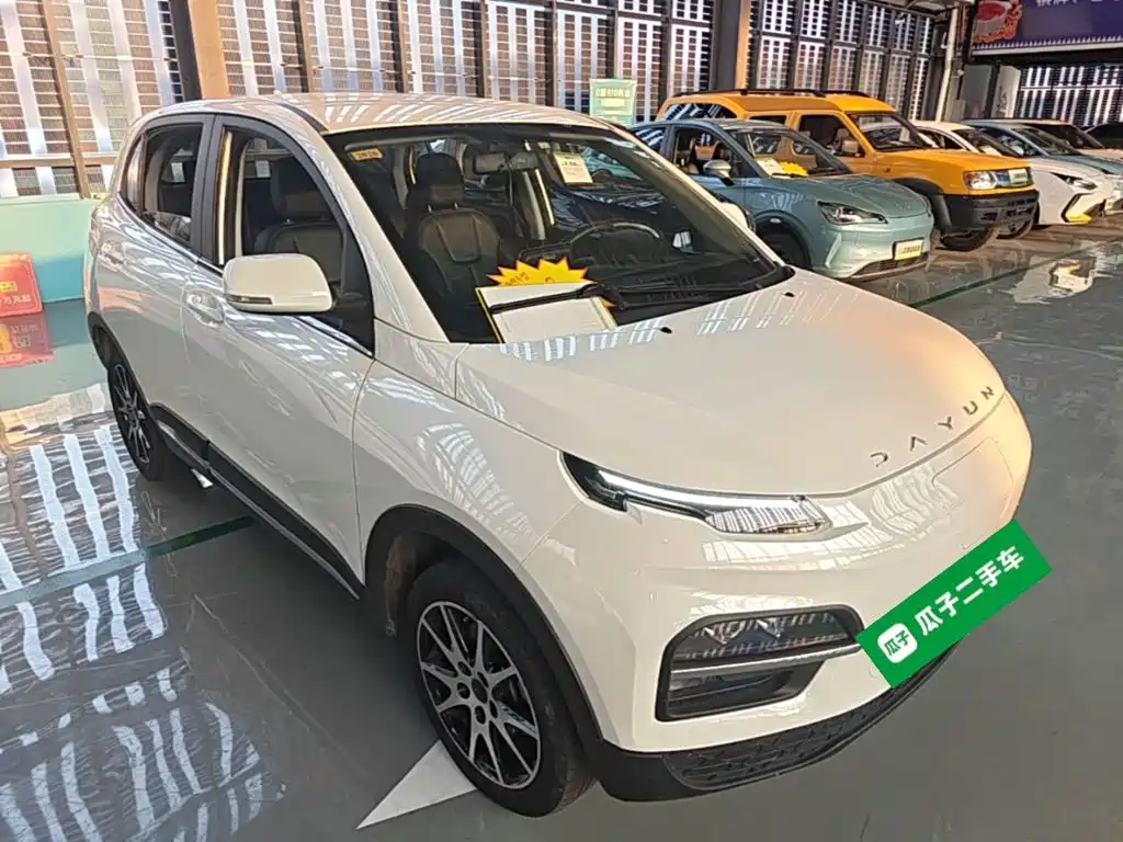 Dayun Yuehu 2022 2022 30.66kWh 2WD VIP Edition