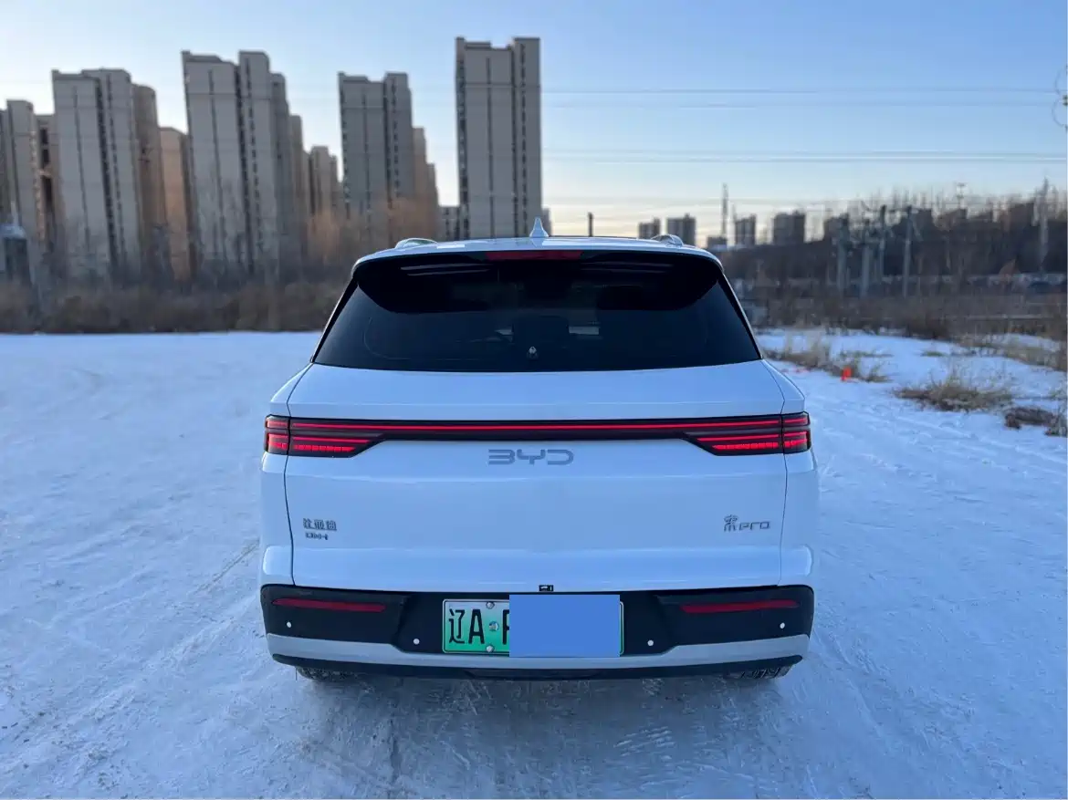 BYD SONGJIANG NEW ENERGY