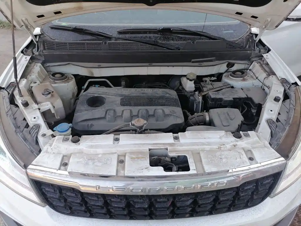 Leopaard CS9 2018 2017 1.5L Manual Trend