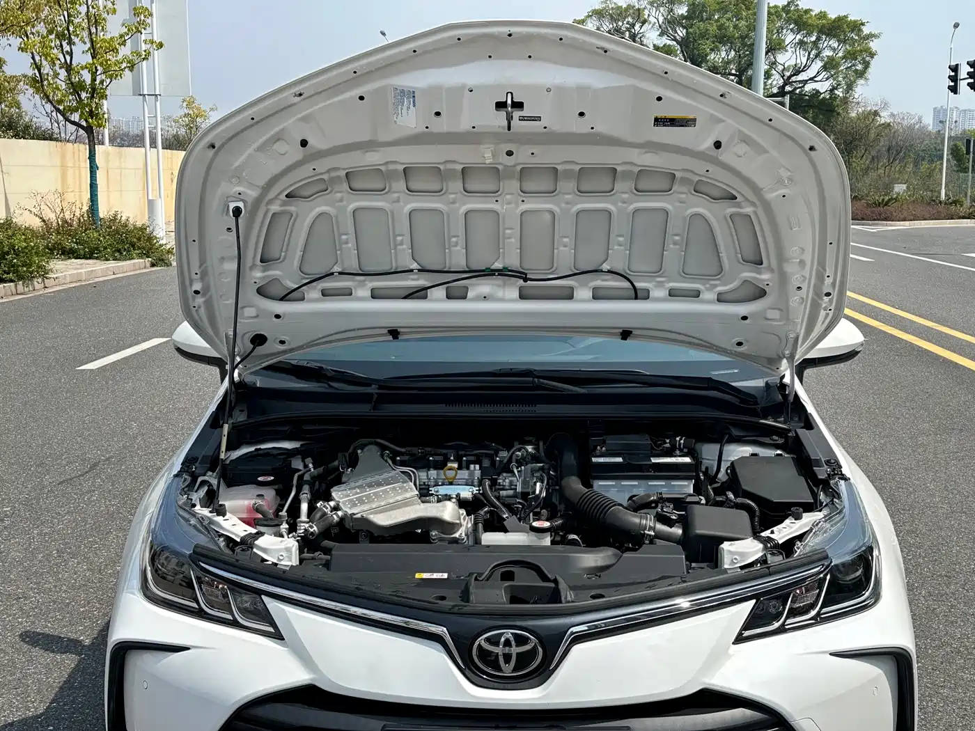 Toyota Corolla 2023 1.2T Pioneer Edition фото 19